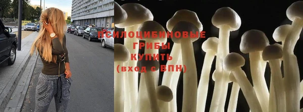 метадон Бородино