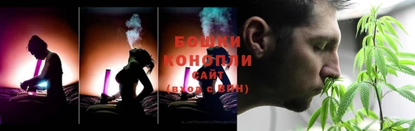 дживик Верхний Тагил